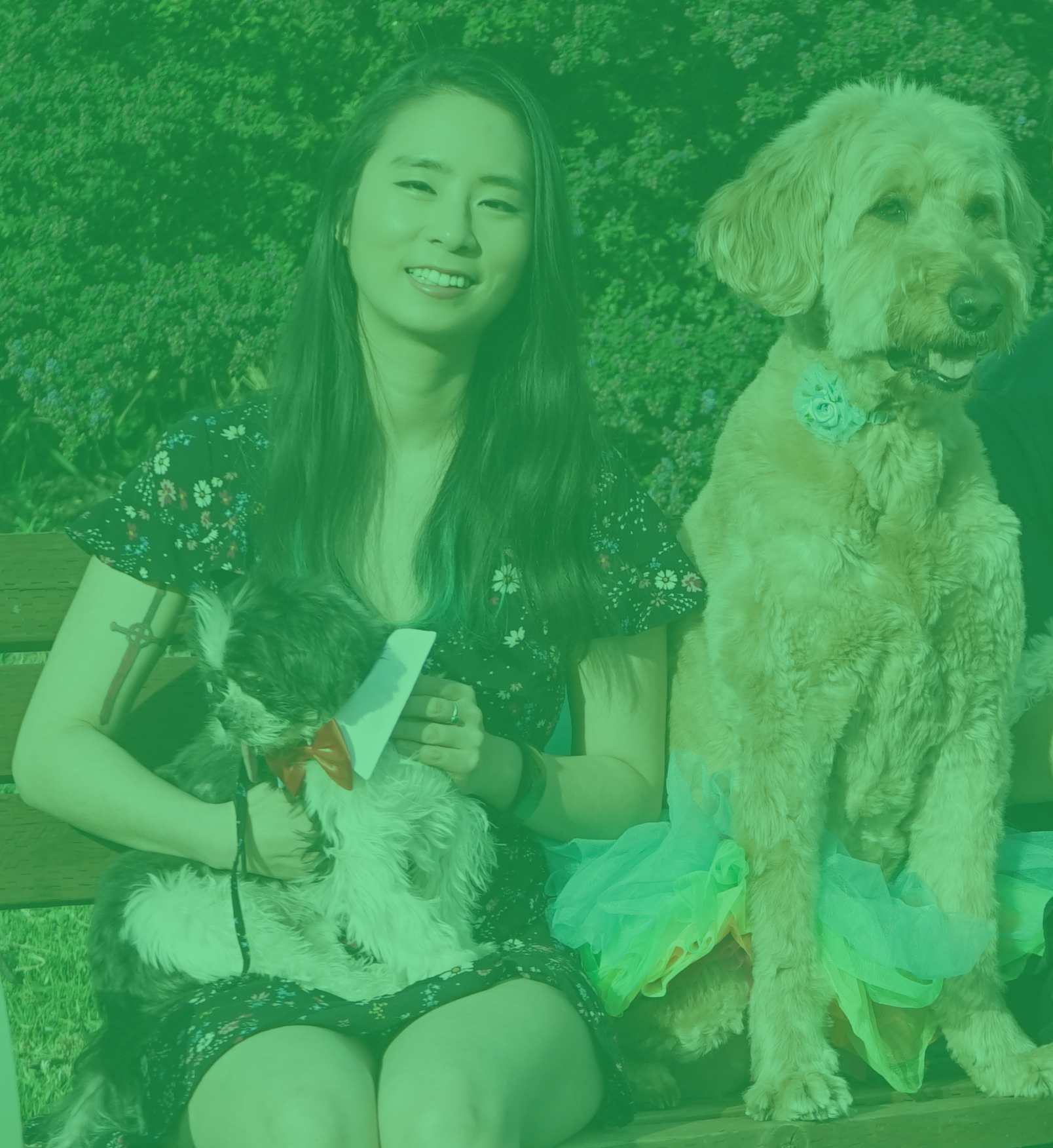 me and dogs